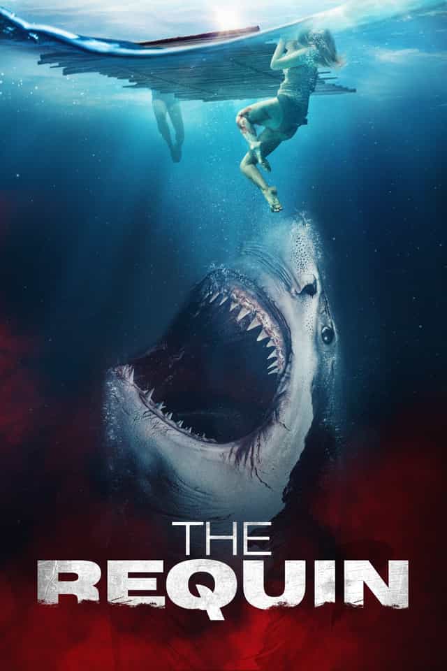 803114