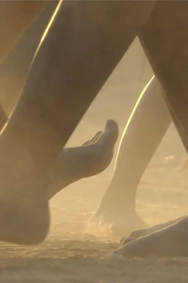 1099833