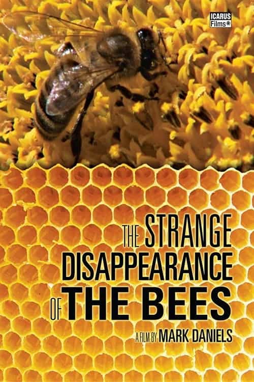 277426