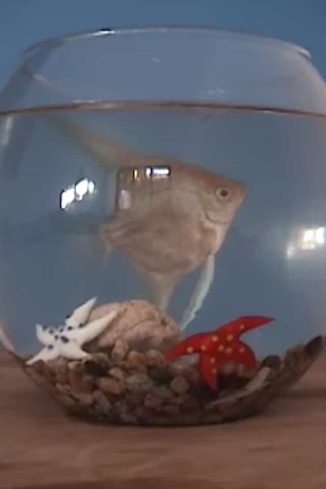 1316074