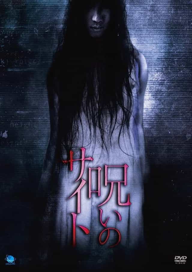 1136914