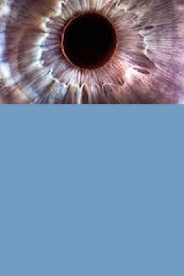 1008618