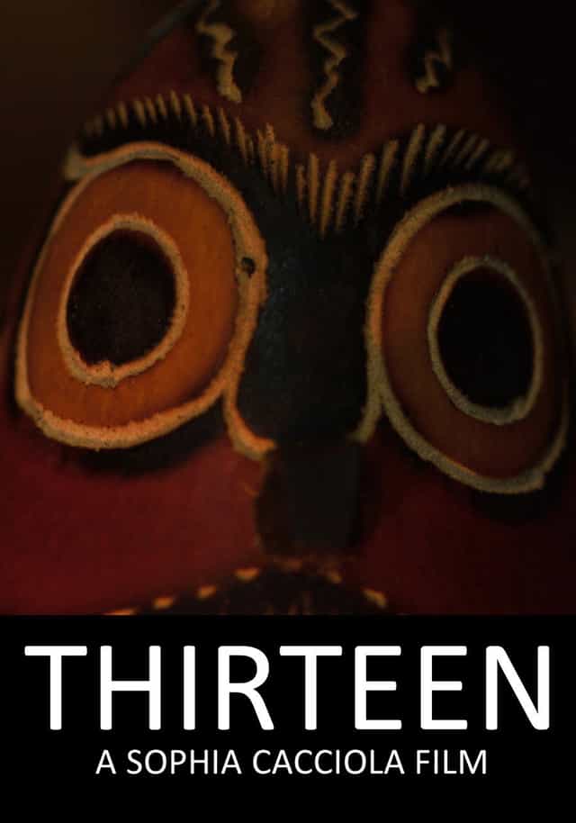 736643