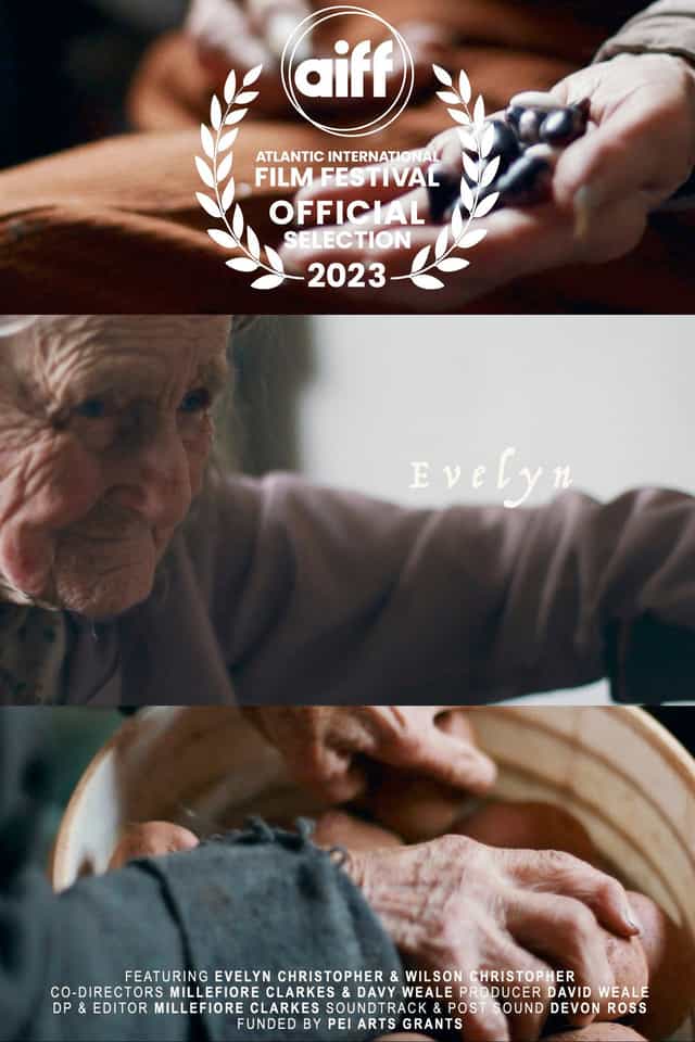 1143917