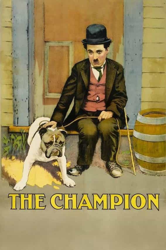 43678