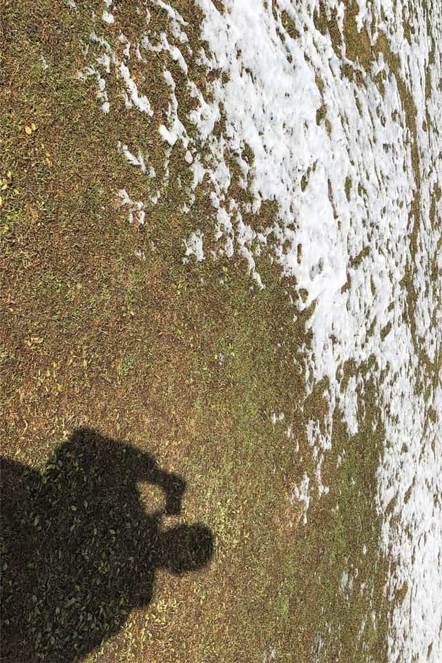 1137184