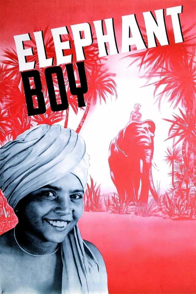 43858