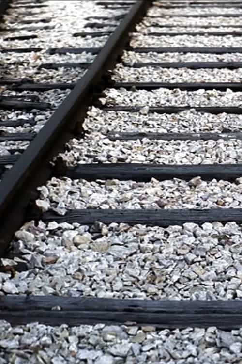 454301