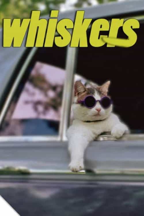 235866