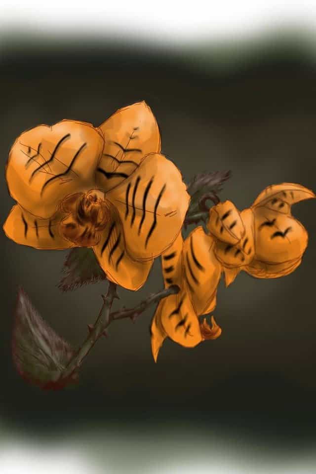 694540