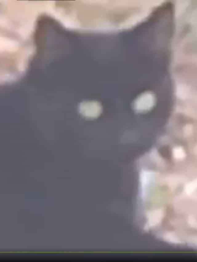 911061