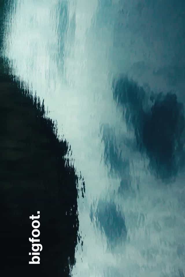 1233564