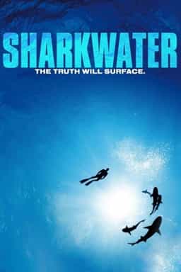 13894