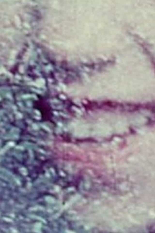 429847