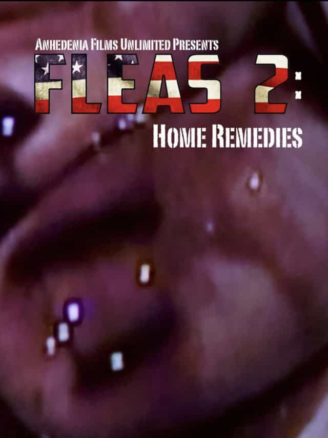 1211862