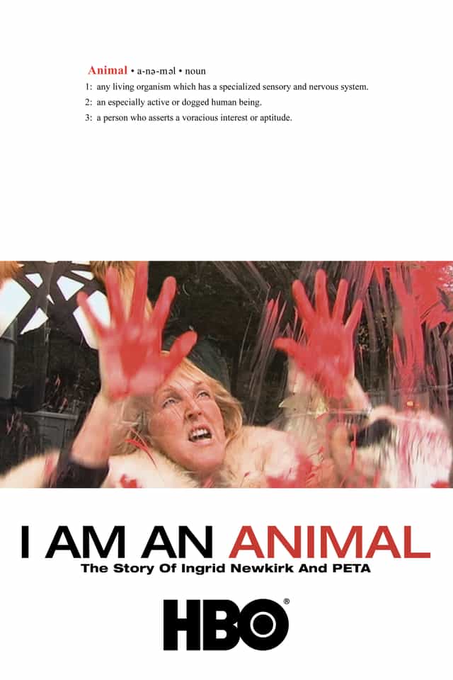 95582