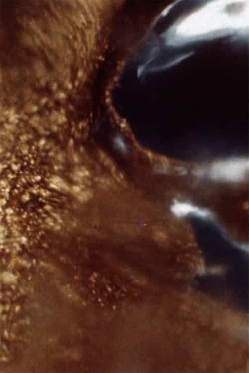 361179