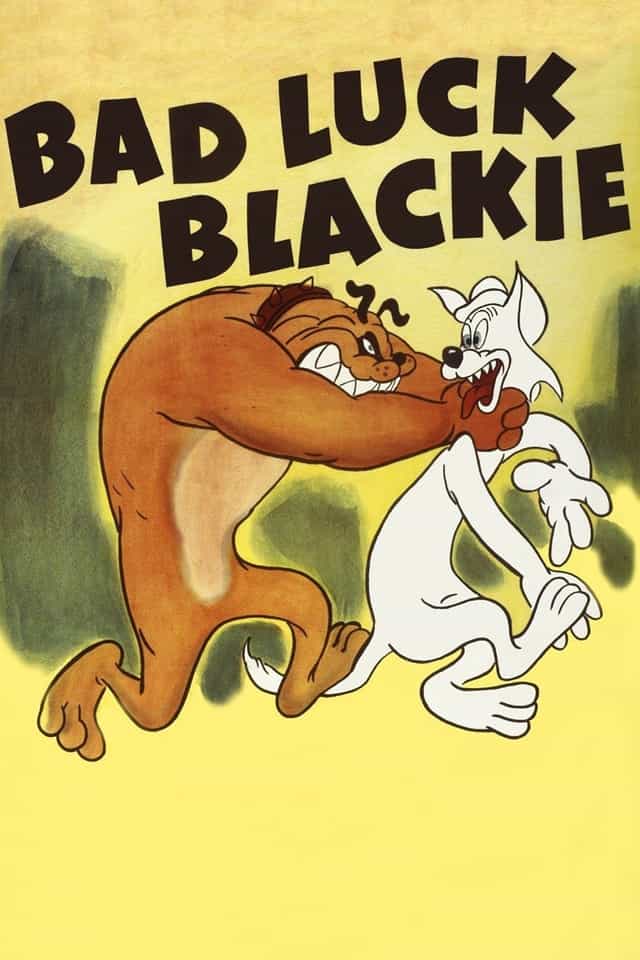 84664
