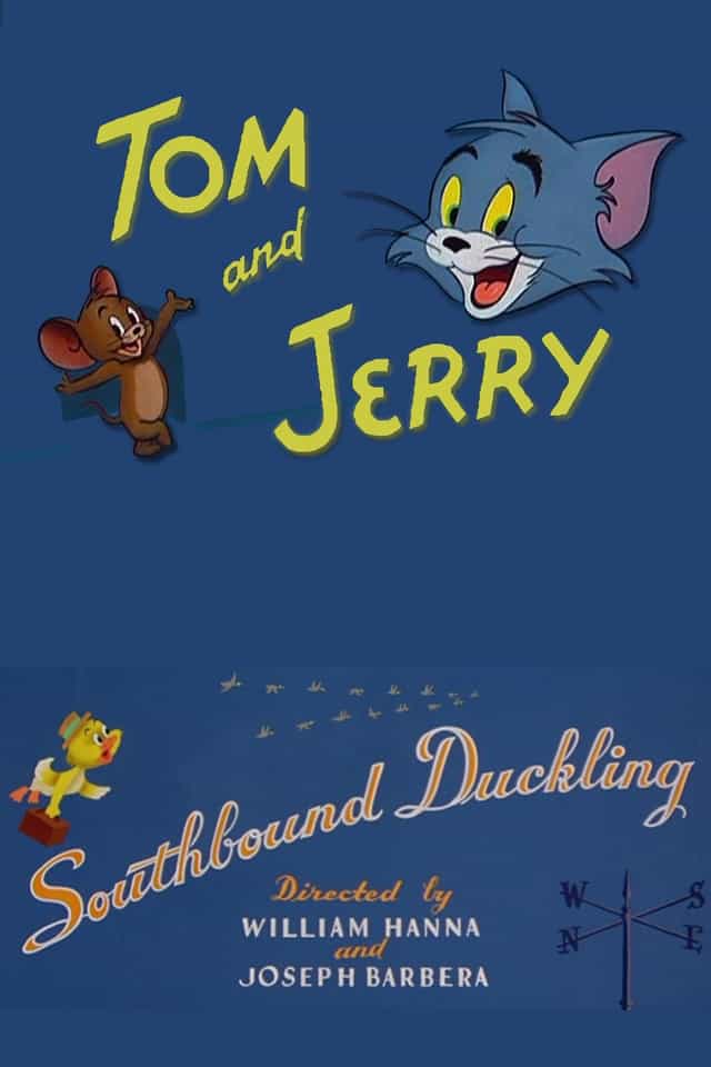84036