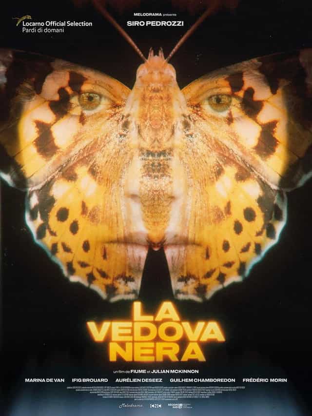 1135895