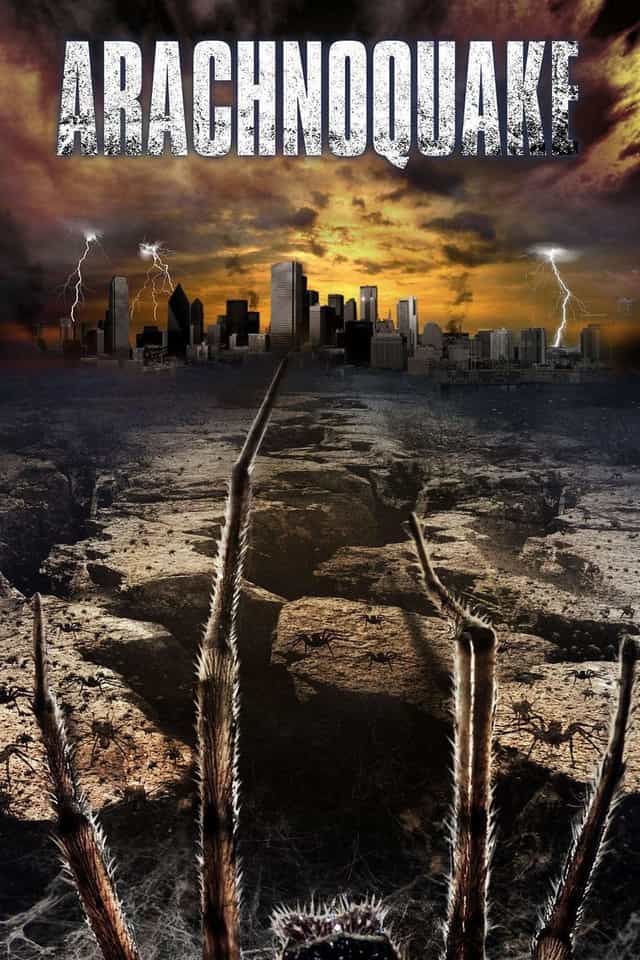116463