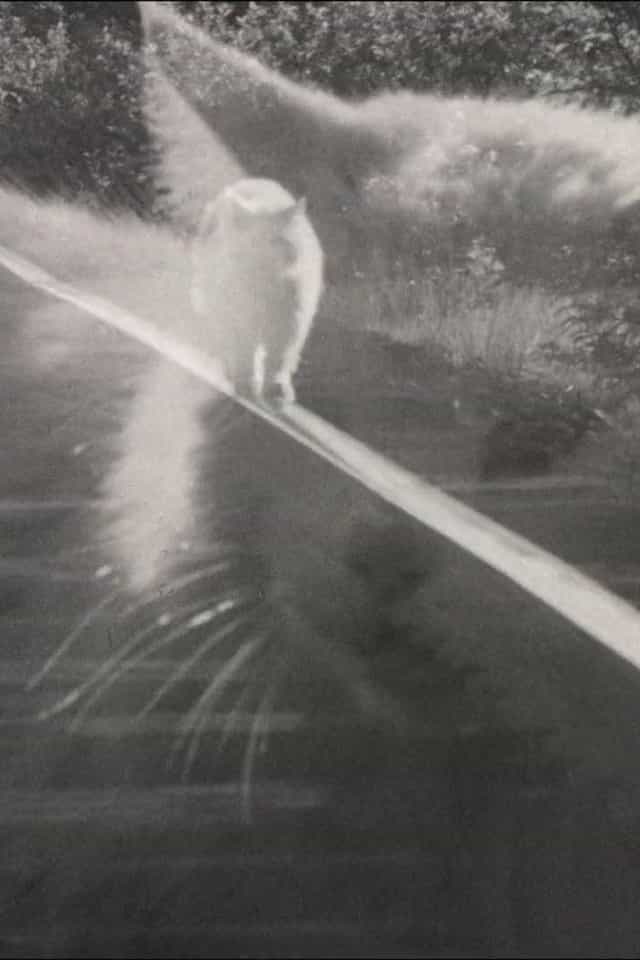 636379