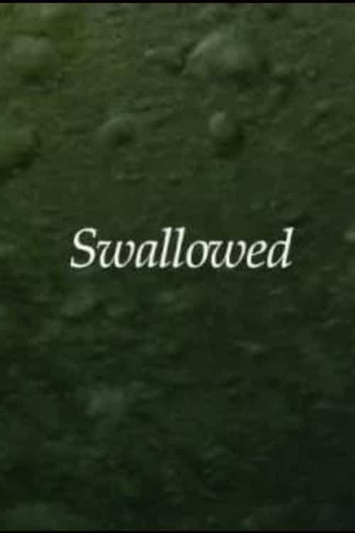 1157081