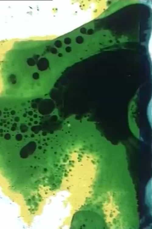 1650611