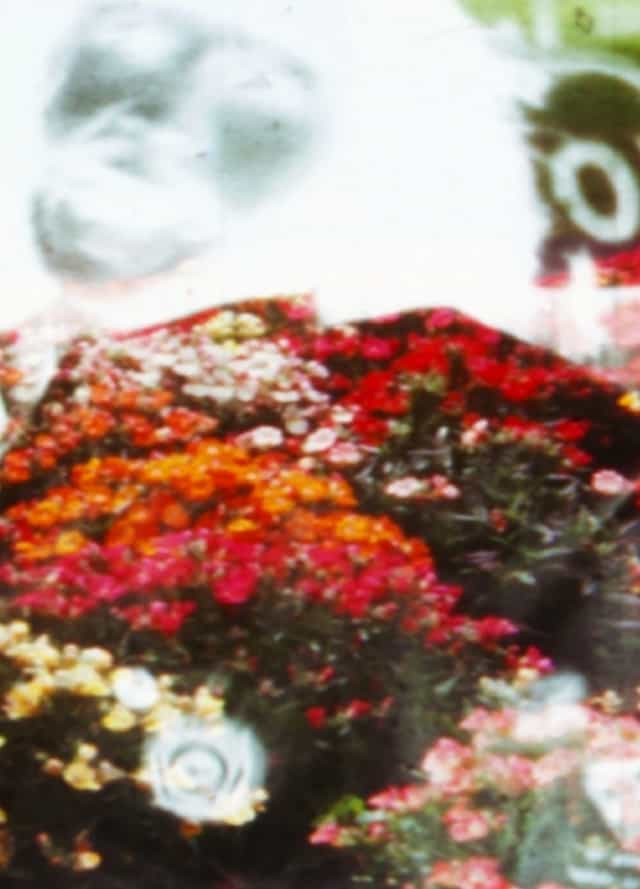 466815