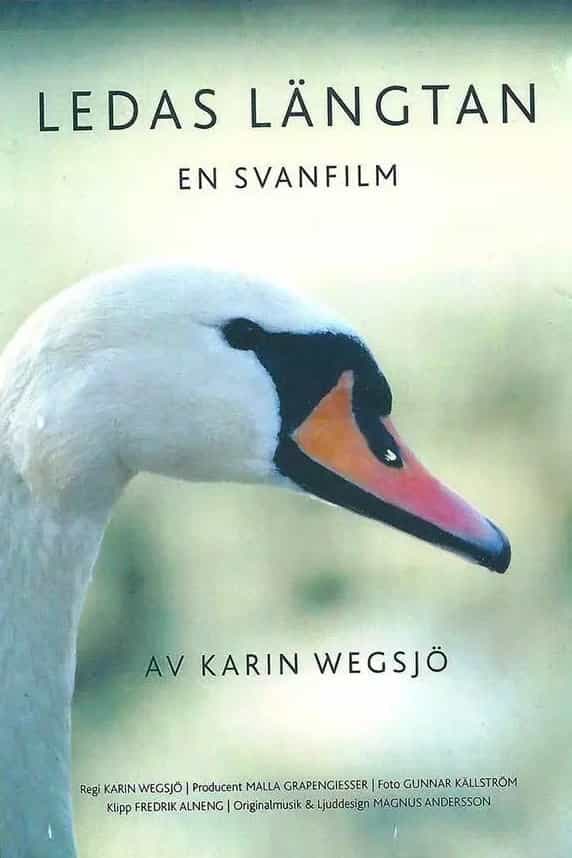 594678