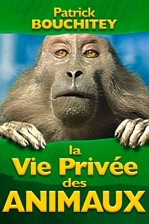 52532