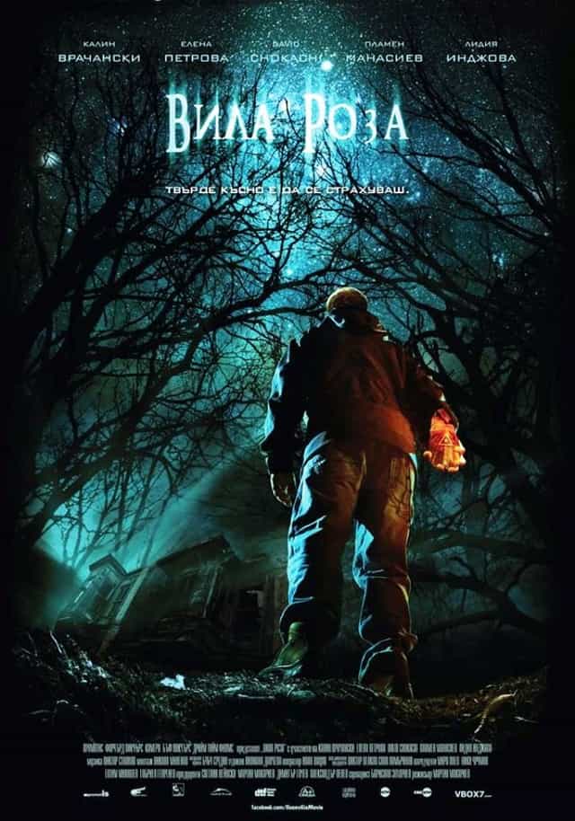 291163