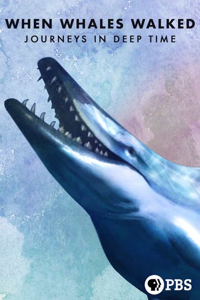 610397