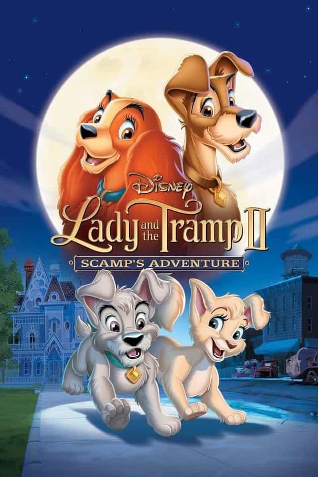 18269