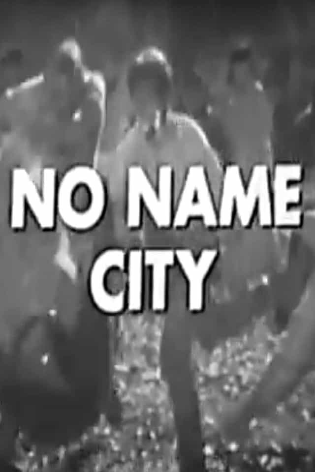 1313273