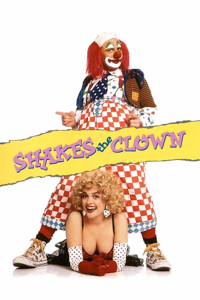 26291