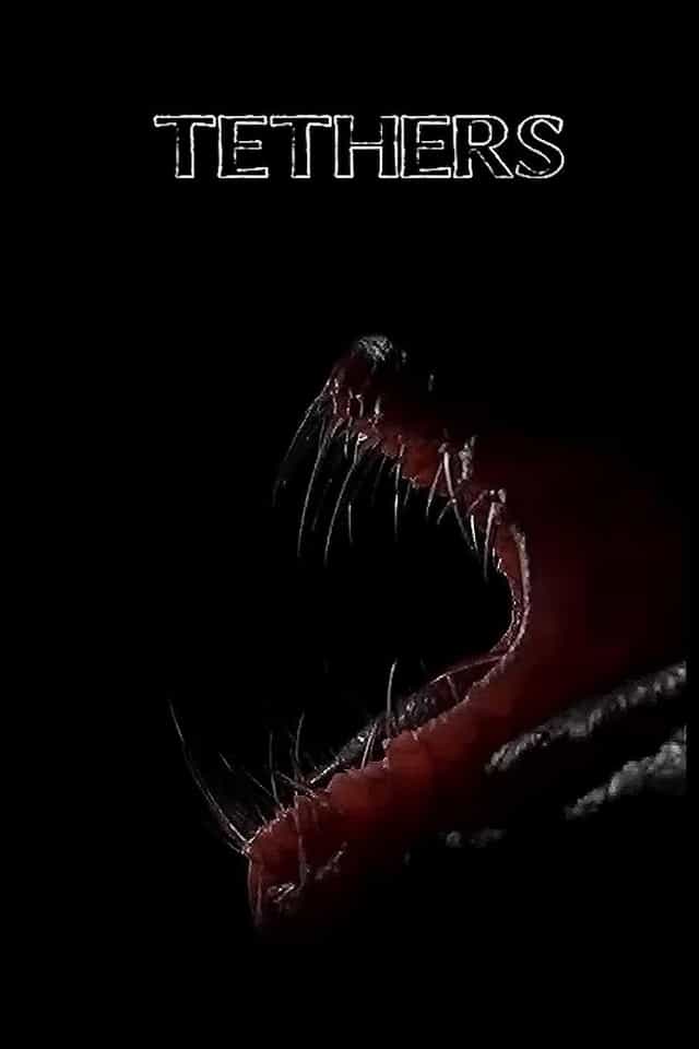 1142384