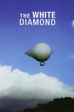 23965