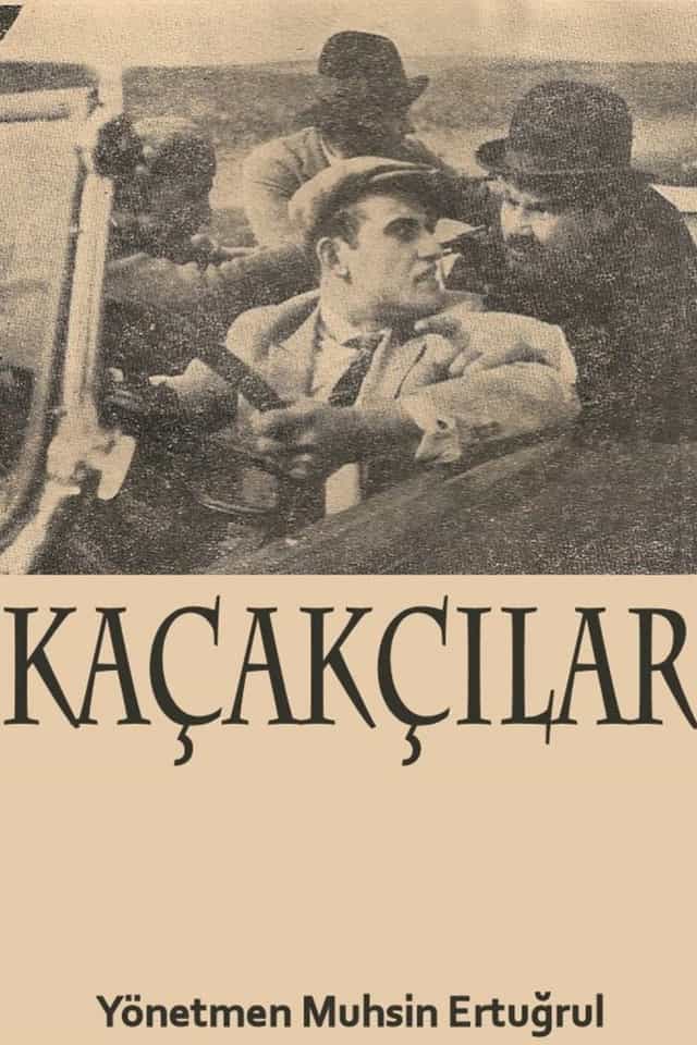 1184558