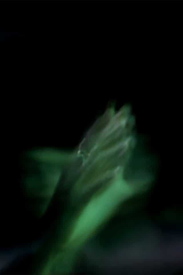 465048