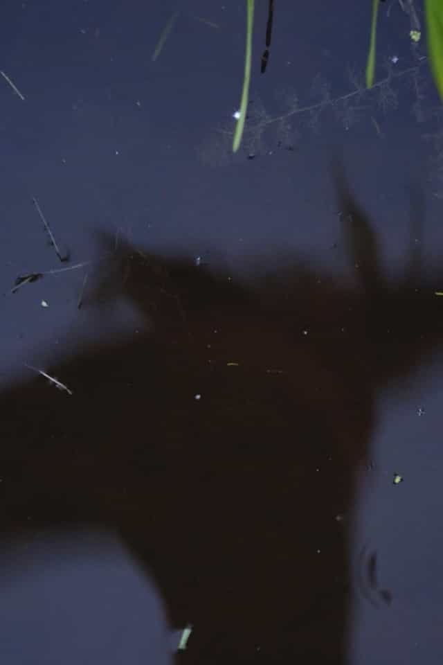 989177