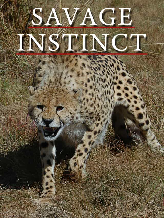 1108971