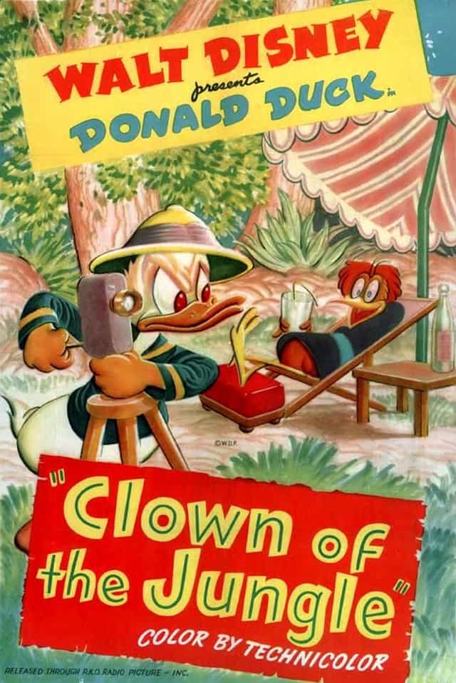 53494