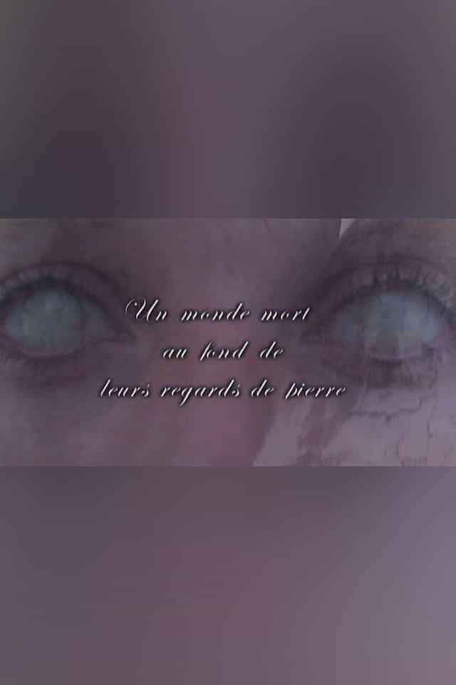 1008331