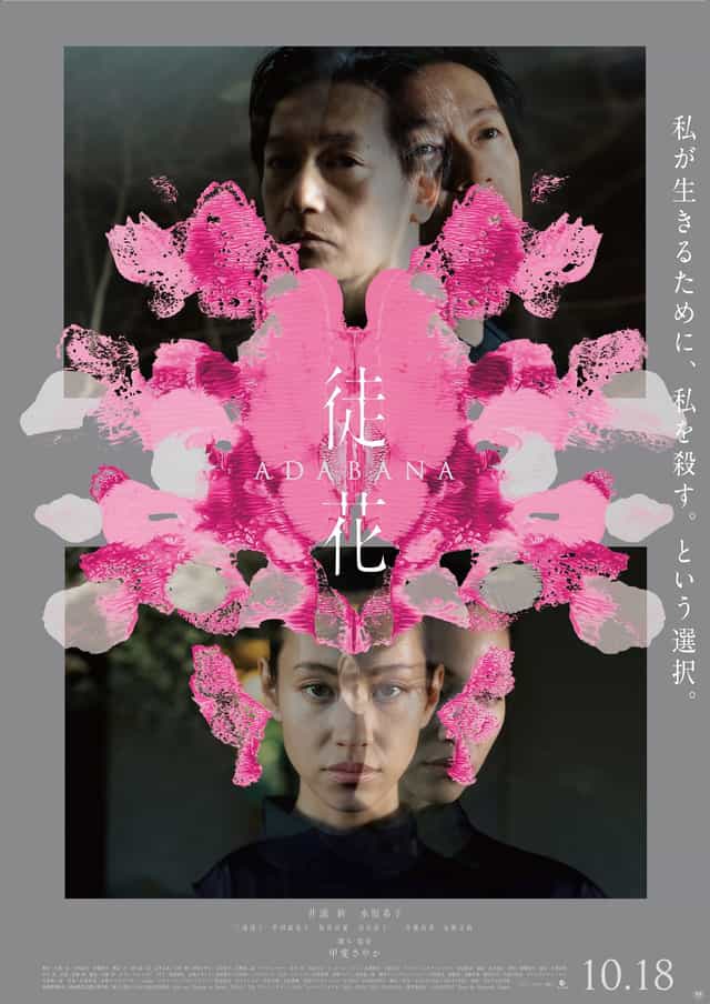 1256604