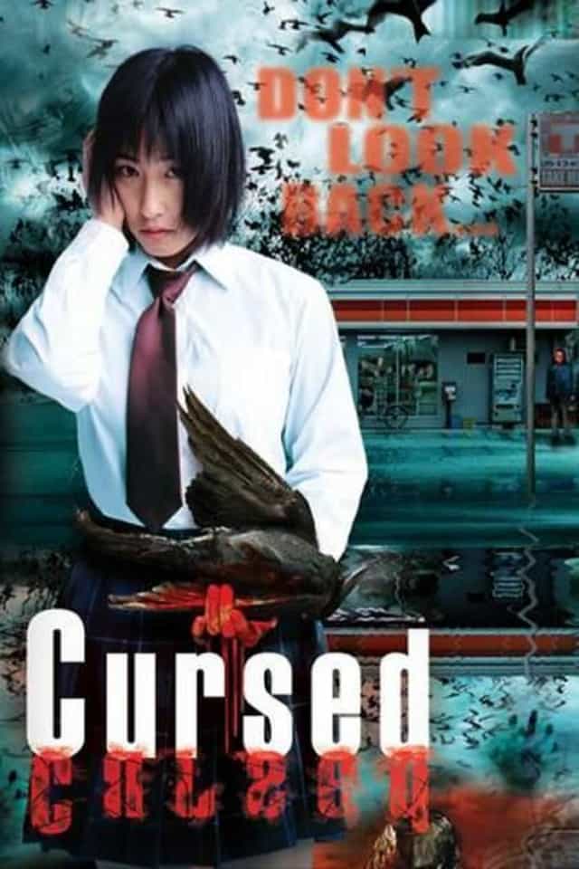 62338