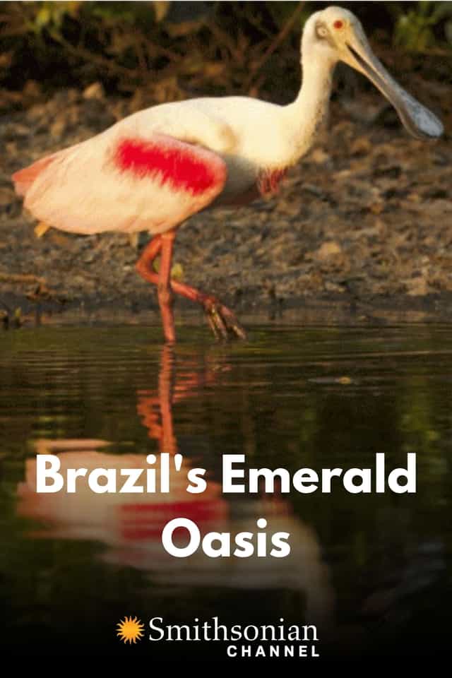 870462