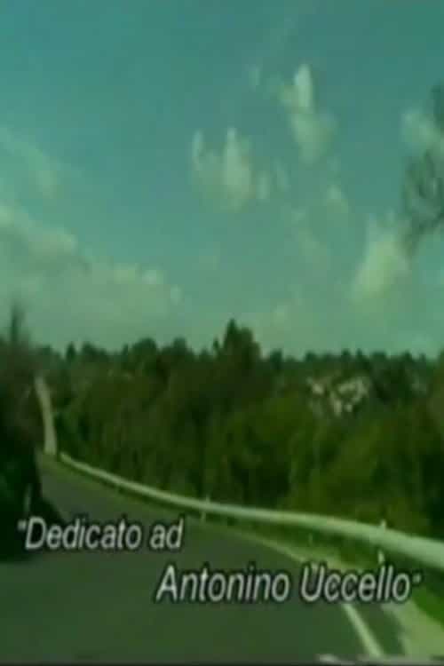 1604562
