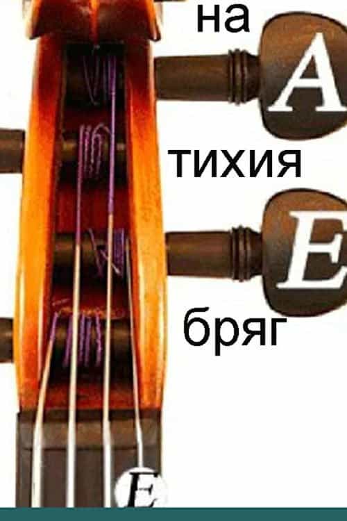946648