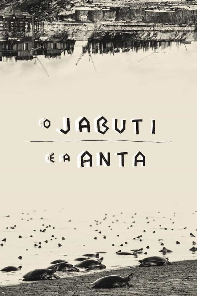 417567